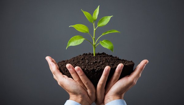 Quels sont les avantages et inconvénients de l'investissement en nue-propriété ?